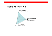 브랜드 아파트의 브랜드 전략 시사점-19