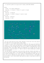 LNG 냉각 공정 레포트-13