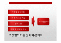 갯벌 유실 현황과 문제점 및 해결방안-10