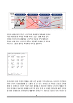 나이키 vs 아디다스 마케팅전략 비교분석및 나이키와 아디다스 마케팅 성공,실패사례분석 레포트-8