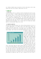 [사업계획서]인터넷 맞춤 성형 사업계획서-6