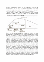 매드포갈릭 브랜드분석및 마케팅전략과 매드포갈릭 성공요인분석 레포트-9