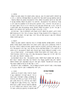 매드포갈릭 브랜드분석및 마케팅전략과 매드포갈릭 성공요인분석 레포트-12