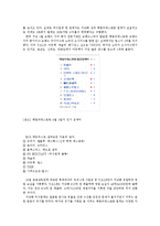 매드포갈릭 브랜드분석및 마케팅전략과 매드포갈릭 성공요인분석 레포트-15