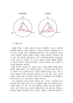 스무디킹 브랜드전략과 스무디킹 현재 마케팅전략분석과 새로운마케팅전략 제안과 미래전략제안및 스무디킹의 미래비전 분석-14