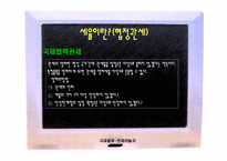 [국제물류] 관세에 대해서-12