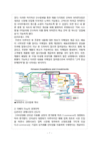 Ebay 이베이 vs Amazon 아마존 기업전략과 일본진출 마케팅전략 비교분석 레포트-7