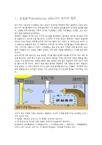 온실효과(greenhouse effect)의 영향과 대책 연구-2