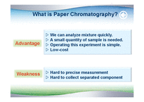 종이 크로마토그래피(Paper Chromatography) 실험-8