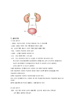 인체 구조와 기능 이해-10