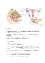 인체 구조와 기능 이해-12