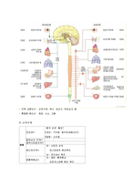 인체 구조와 기능 이해-16