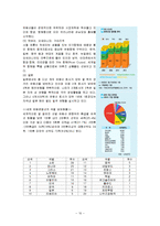 국내 크로즈 산업 발전전략-10