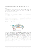 MOS Capacitor 제작 공정 실험-8