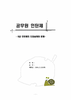 [인사행정] 공무원인턴제 - 6급인턴제 도입실태와 문제-1