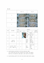 [실험조리] 어묵의 제조와 첨가재료에 따른 평가-6