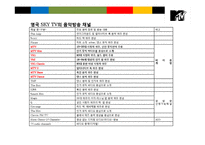 세계 젊은이 문화를 선도한다 MTV 킬러 프로그램 성공전략-19