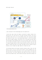 일본 내의 빅데이터 활용사례와 시사점 고찰-13