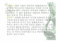 발효식품 레포트-14