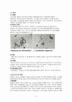 [식품미생물학] 치즈 및 발효유제품-14