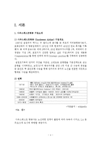 사우스웨스트항공 기업분석과 SWOT분석및 사우스웨스트 현마케팅,경영전략분석과 사우스웨스트 항공 향후전략 기획안-4