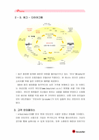 [경영] 미샤 화장품시장 성공사례분석-17