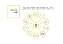 BEYOND 비욘드 기업분석과 비욘드 마케팅 SWOT,STP,4P전략분석및 향후전망과 전략제안 PPT-6