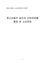 [소비자문화] 청소년소비자의 놀이문화와 스타모방문화-14