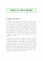 [노사관계] 유럽의 노사정협의 제도-17