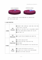 [국제경영] 삼성애니콜의 중국진출-17