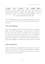 [국제경영] 삼성애니콜의 중국진출-19