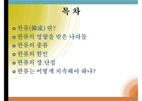 한류(사회학개론, 한류영향, 한류종류, 한류원인, 한류장단점, 한류지속성) PPT, 프레젠테이션-2