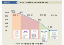 세스코 Cesco 기업분석과 세스코 해외진출 글로벌마케팅 SWOT,STP,4P전략분석및 세스코 향후마케팅 전략제안 PPT-10