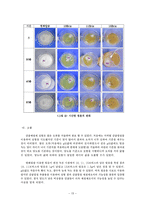 제주감귤껍질을 이용한 제설제연구-15