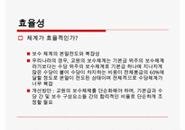 [교사 봉급] 교사연봉,교사봉급의 개념, 계산방법, 특징, 개선점, 교사 연봉 전망 등등-15