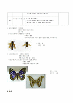 [교육심리학] 열린교육-12