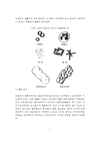 [신장질환] 신장 질환의 임상검사 및 영양대사 장애, 신장질환 치료의 식사요법(식이요법)시 주의해야 할 점-3