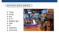 방송국과 방송산업 분석(지상파종편케이블위성IP TV)-10