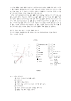 [프로포절, 프로그램, 사회복지 프로포절]아름다운 신혼을 위한 결혼 준비 교육 프로포절-13