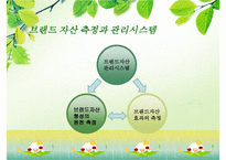 브랜드자산관리(상표관리, 브랜드관리)의 정의, 의의, 브랜드자산관리(상표관리, 브랜드관리)의 과정, 항목, 브랜드자산관리(상표관리, 브랜드관리)의 유의사항, 사례, 브랜드자산관리(상표관리, 브랜드관리) 전략-5