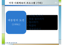 [선진국의 사회체육] 미국, 일본, 독일, 덴마크, 영국, 프랑스, 호주의 사회체육 - 활성화 방안-13