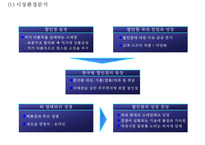 [홈플러스 마케팅전략 PPT] 홈플러스 기업현황과 SWOT분석,마케팅 4P,STP분석및 홈플러스 문제점과 해결방안제언-8