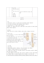 간호,정신 간호, 요양 병원, 임상 실습 일지-2