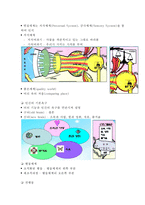 미술치료 기법,사례분석- 미술치료 정의,필요성,이론분석및 미술치료 기법과 사례분석및 효과와 느낀점-15