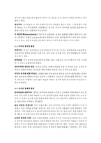 [국제경영] 아이리버 성공전략과 미국시장진출전략-12