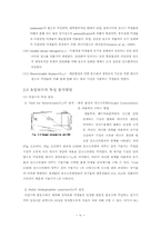 [졸업][환경공학] 호흡률 실험을 이용한 하수처리장 유입수 특성 분석-4