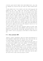 [졸업][환경공학] 볏짚의 Fast pyrolysis를 통한 열분해 특성 및 반응온도와 생성물간의  수율변화에 관한-4