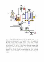 [졸업][환경공학] 볏짚의 Fast pyrolysis를 통한 열분해 특성 및 반응온도와 생성물간의  수율변화에 관한-8