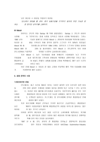 [국제경영]대우자동차의 인도진출 전략 분석-10