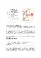 [국제경영] 디즈니랜드 세계경영의 성공과 실패-8